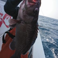 海龍丸（福岡） 釣果