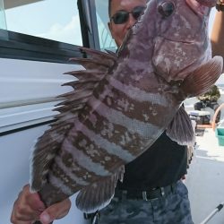 海龍丸（福岡） 釣果