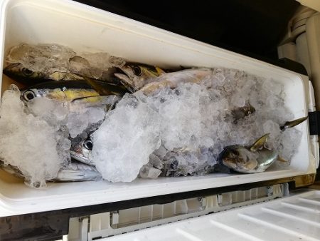 フィッシングボート空風（そらかぜ） 釣果