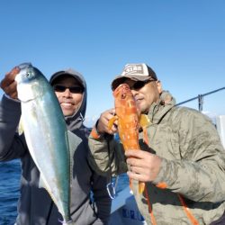 ブルーピア 釣果