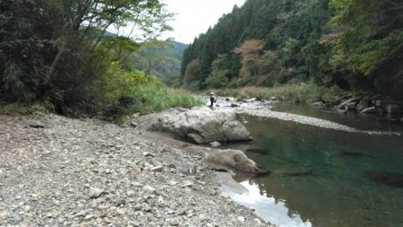 大井川(大井川(非)漁業協同組合) 釣果