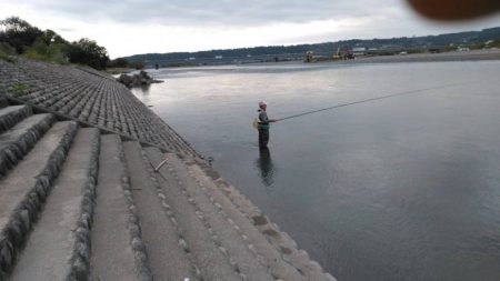 大井川（大井川(非)漁業協同組合） 釣果