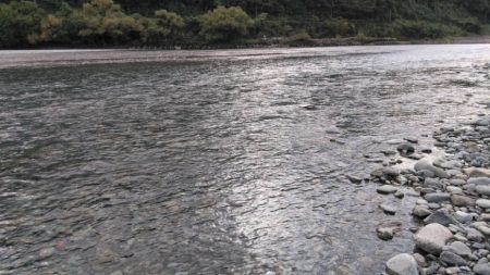 大井川(大井川(非)漁業協同組合) 釣果