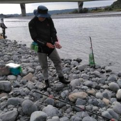 大井川(大井川(非)漁業協同組合) 釣果