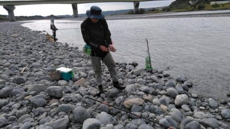 大井川(大井川(非)漁業協同組合) 釣果