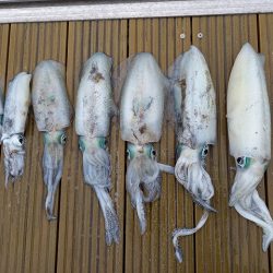 フィッシングボートACE(エース) 釣果