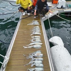 フィッシングボートACE(エース) 釣果