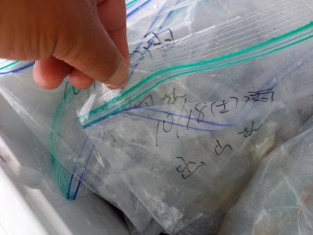 フィッシングボートACE(エース) 釣果