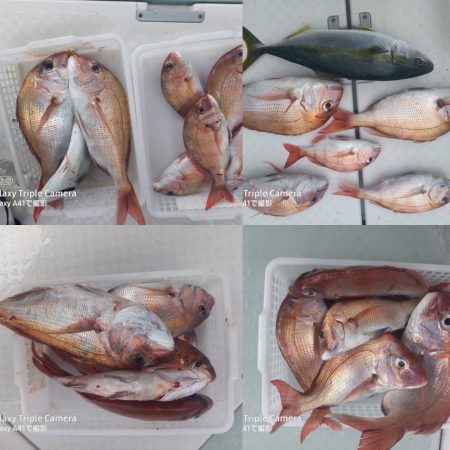 内浜丸 釣果
