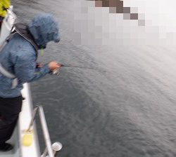 遊漁船 幸友丸 釣果