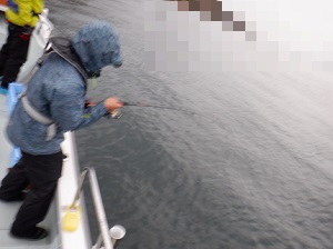 遊漁船 幸友丸 釣果