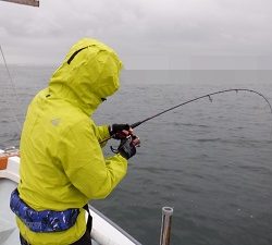 遊漁船 幸友丸 釣果