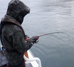 遊漁船 幸友丸 釣果