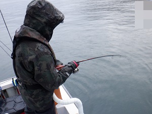 遊漁船 幸友丸 釣果