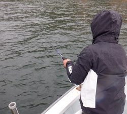 遊漁船 幸友丸 釣果