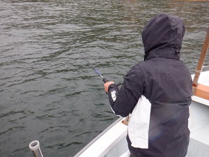 遊漁船 幸友丸 釣果