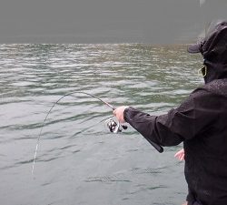 遊漁船 幸友丸 釣果