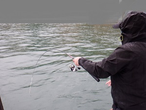 遊漁船 幸友丸 釣果