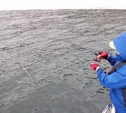 遊漁船 幸友丸 釣果