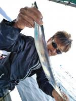 おおせき丸 釣果