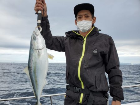 ブルーピア 釣果