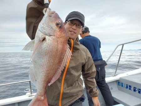 ブルーピア 釣果