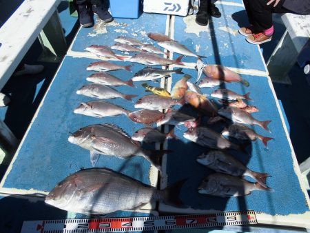 十八宝洋丸 釣果