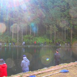 小菅トラウトガーデン 釣果