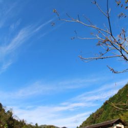 小菅トラウトガーデン 釣果