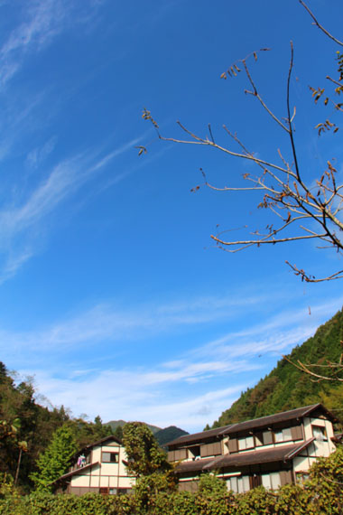 小菅トラウトガーデン 釣果