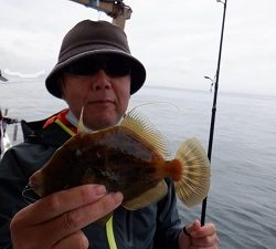 遊漁船 幸友丸 釣果