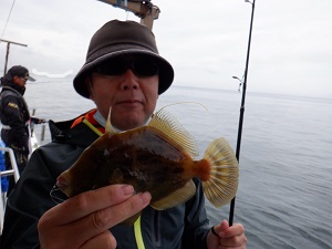 遊漁船 幸友丸 釣果