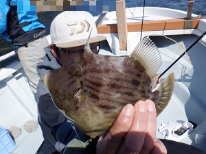 遊漁船 幸友丸 釣果