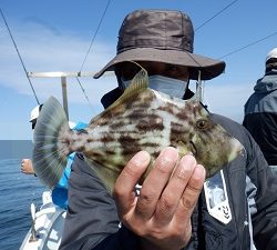 遊漁船 幸友丸 釣果