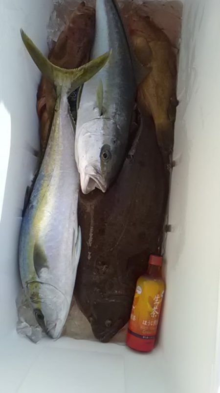 海龍丸(福岡) 釣果