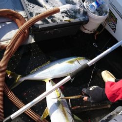 海龍丸(福岡) 釣果