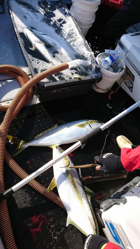 海龍丸(福岡) 釣果