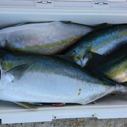 海龍丸(福岡) 釣果