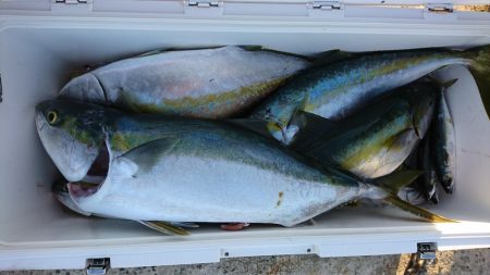 海龍丸(福岡) 釣果