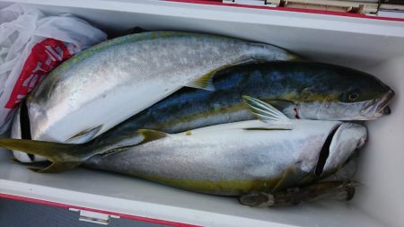 海龍丸(福岡) 釣果