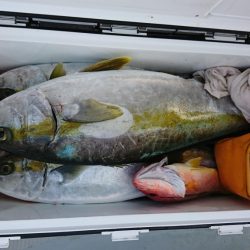 海龍丸(福岡) 釣果