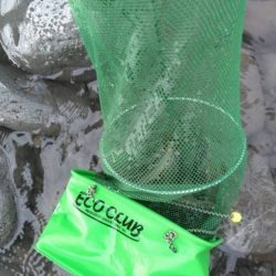 大井川(大井川(非)漁業協同組合) 釣果