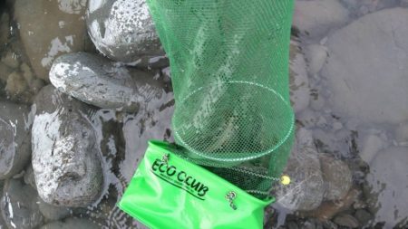 大井川(大井川(非)漁業協同組合) 釣果