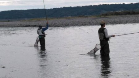 大井川(大井川(非)漁業協同組合) 釣果