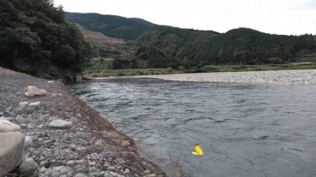 大井川(大井川(非)漁業協同組合) 釣果