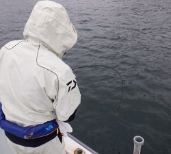 遊漁船 幸友丸 釣果