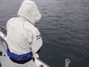 遊漁船 幸友丸 釣果