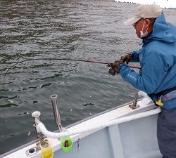 遊漁船 幸友丸 釣果