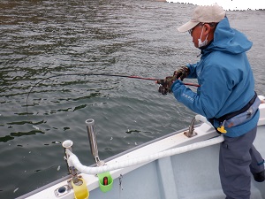 遊漁船 幸友丸 釣果