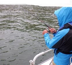 遊漁船 幸友丸 釣果